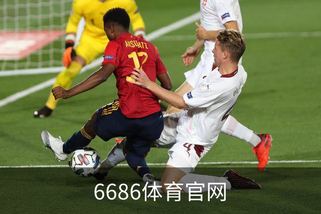 6686体育官网 公司简介